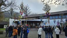 Gebastelte Palmen